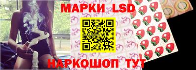 гидра Моздок