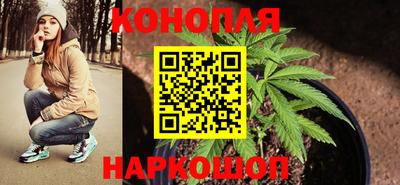молекула духа Можайск