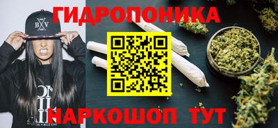 гидра Моздок