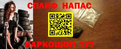 гидра Моздок
