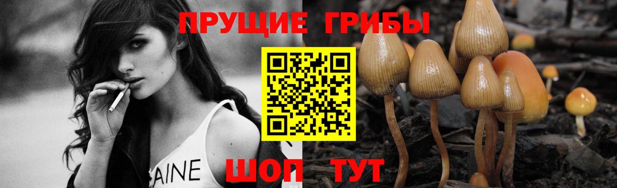 Галлюциногенные грибы мицелий Владимир